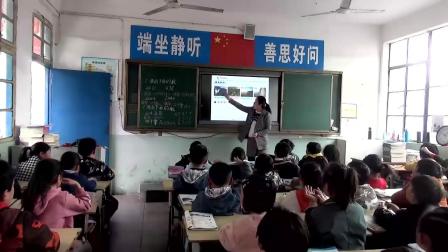 《数的大小比较》教学视频实录-北京版小学数学二年级下册