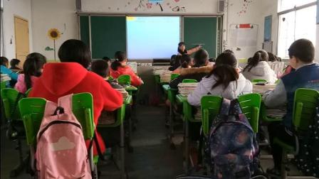 《平行线》教学视频实录-华东师大版初中数学七年级上册