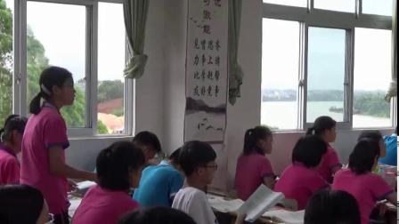 《小结练习（2）》优质课教学视频-湘教版初中数学八年级下册