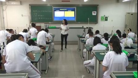 《第一节 细胞》课堂教学视频实录-北京版初中生物七年级上册