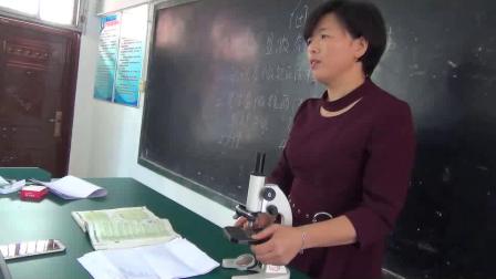 《第一节 细胞》优质课评比视频-北京版初中生物七年级上册