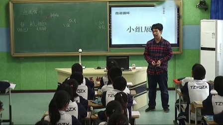 《5.血液循环》课堂教学视频实录-北京版初中生物七年级下册