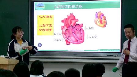《5.血液循环》课堂教学视频-北京版初中生物七年级下册