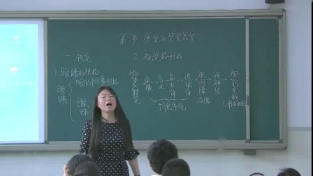 《第三节 感觉和感觉器官》优质课评比视频-北京版初中生物七年级下册