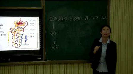 《第二节 尿液的形成和排出》优质课课堂展示视频-北京版初中生物七年级下册