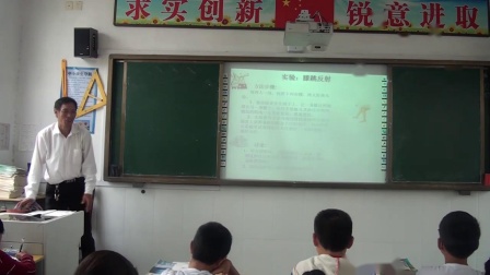 《第二节 神经调节的基本方式》课堂教学视频实录-北京版初中生物七年级下册