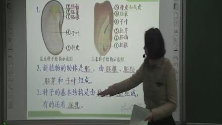 《2.种子的结构》课堂教学实录-北京版初中生物八年级上册