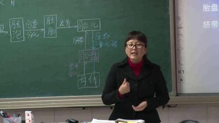 《第一节 人的生殖和发育》课堂教学视频实录-北京版初中生物八年级上册