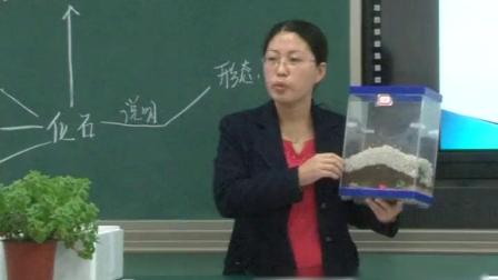 《第二节 生物的进化》教学视频实录-北京版初中生物八年级上册