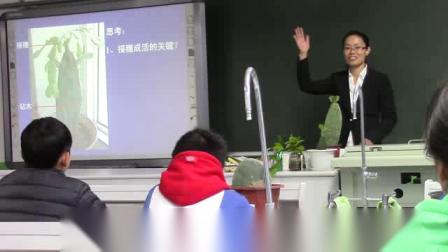 《第四节 生物生殖的多种方式》课堂教学视频实录-北京版初中生物八年级上册