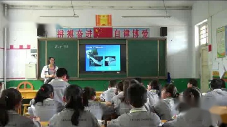 《5、爬行、鸟类》课堂教学视频实录-北京版初中生物八年级下册