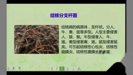 《第二节 原核生物》课堂教学视频实录-北京版初中生物八年级下册