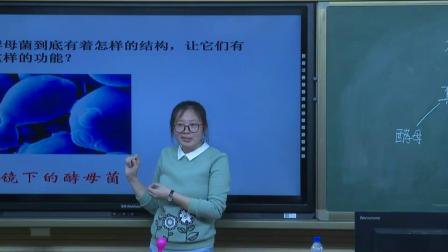 《第五节 真菌》优质课评比视频-北京版初中生物八年级下册
