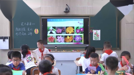 《第7课　花儿朵朵（二）》优质课教学视频-苏少版小学美术二年级下册