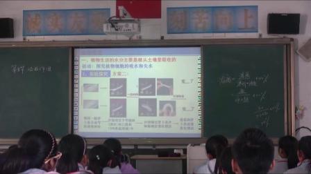 《第3节 吸收作用》课堂教学视频实录-北师大版初中生物七年级上册