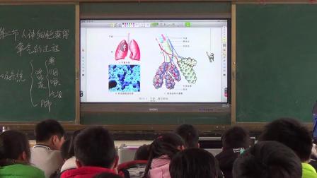 《第2节 人体细胞获得氧气的过程》优质课视频-北师大版初中生物七年级下册