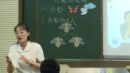 《第二节 传粉与受精》优质课教学视频-济南版初中生物八年级上册