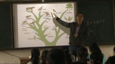 《第六节　鸟》课堂教学视频-人教版初中生物八年级上册