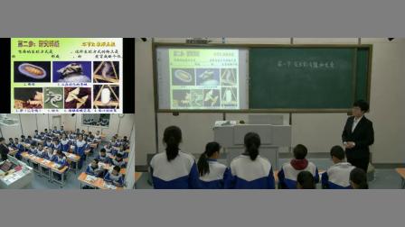 《第二节 昆虫的生殖和发育》课堂教学视频-人教版初中生物八年级下册