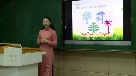 《21. 小树快快长》课堂教学视频实录-湘美版小学美术一年级下册