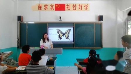 《14. 蝴蝶落我家》教学视频实录-湘美版小学美术四年级上册