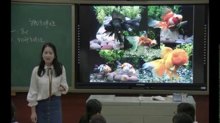 《第一节 生物多样性》课堂教学视频-苏教版初中生物八年级上册