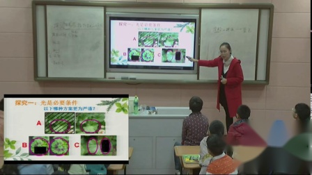 《第1节 植物的光合作用》课堂教学视频-苏科版初中生物七年级上册