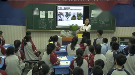 《第1节 地面上的植物》优质课课堂展示视频-苏科版初中生物七年级下册