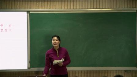 《9 阿长与《山海经》》课堂教学视频实录-部编版初中语文七年级下册