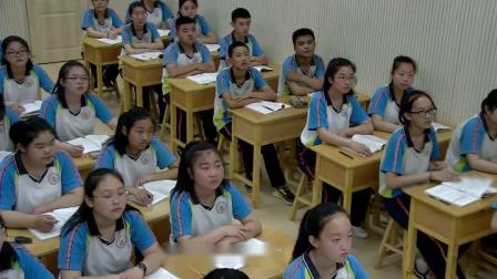 《被压扁的沙子》课堂教学视频-部编版初中语文八年级下册