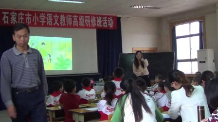 《5 玲玲的画》课堂教学视频实录-人教部编版小学语文二年级上册