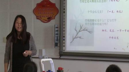 《5 用水墨来画树》课堂教学视频-沪教版小学美术四年级上册