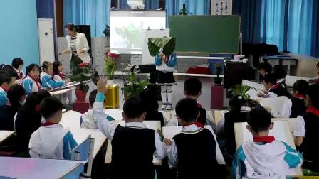 《6.植物写生》优质课课堂展示视频-冀美版小学美术三年级下册