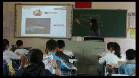 《第一节 自然资源概述》优质课视频-粤人版初中地理八年级上册