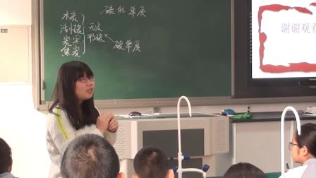 《第一节 碳的单质》课堂教学视频实录-北京版初中化学九年级上册