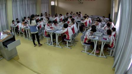 《第二节 盐的性质》课堂教学视频-北京版初中化学九年级下册