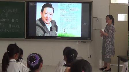 《小松树》优质课课堂展示视频-冀少版小学音乐三年级下册