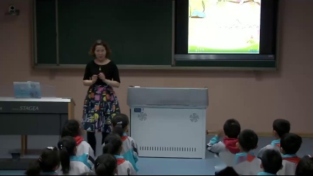 《歌表演）小乌龟飞上天》教学视频实录-湘文艺版小学音乐二年级下册