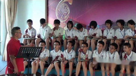 《中国民族乐器》教学视频实录-湘文艺版初中音乐七年级上册
