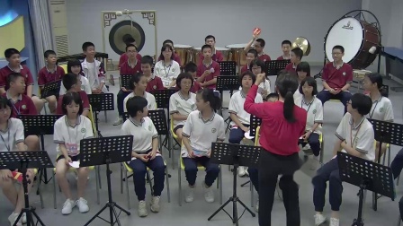 《青少年管弦乐队指南（片段）》教学视频实录-湘文艺版初中音乐七年级下册