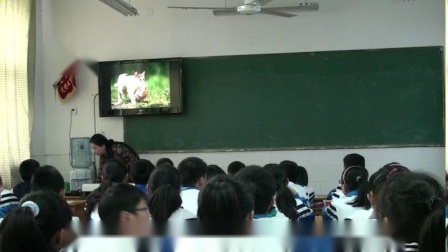 《歌曲《爱我中华》》教学视频实录-粵教花城版初中音乐七年级上册