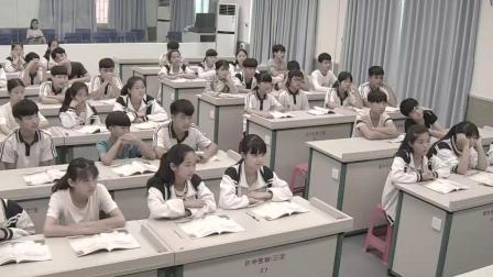 《《玛利安》》优质课视频-花城粵教版初中音乐八年级下册