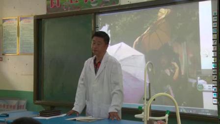 《1 寻找雨具的缺点》课堂教学视频实录-大象2001版小学科学六年级下册
