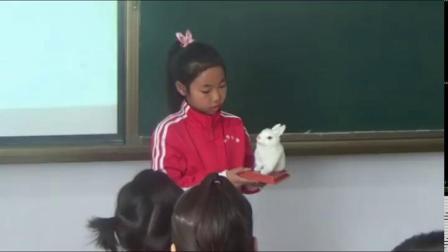 《1 形形色色的动物》课堂教学视频实录-鄂教2001版小学科学五年级下册