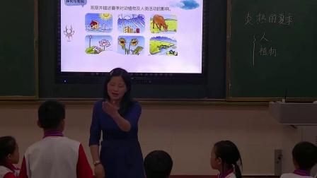 《6 炎热的夏天》课堂教学视频-冀人2017版小学科学二年级下册