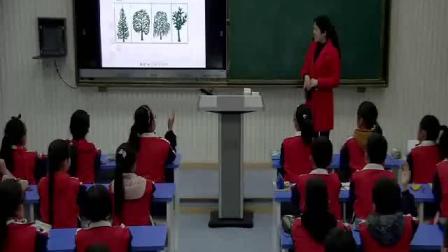 《校园的树木》优质课教学视频-教科2001版小学科学三年级上册