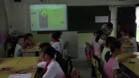 《蚯蚓的选择》课堂教学视频实录-教科2001版小学科学四年级上册