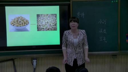 《10. 种子发芽了》课堂教学视频实录-青岛2001版小学科学五年级下册