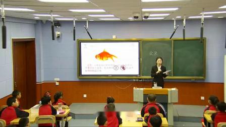 《18. 多样的动物》课堂教学视频-青岛五四学制2001版小学科学三年级下册
