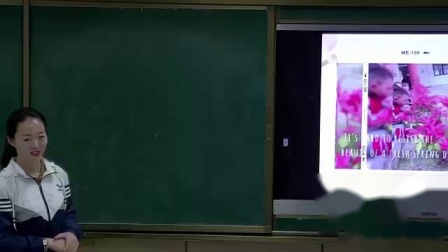 《3 观察校园里的植物》课堂教学实录-人教鄂教2017版小学科学一年级下册